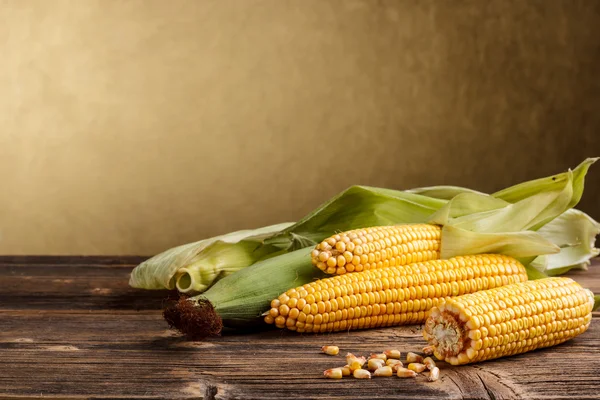 Corn cob — Stock Photo, Image