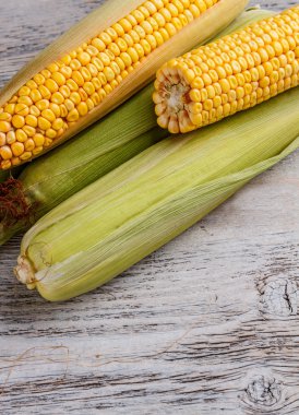 Taze tatlı mısır.