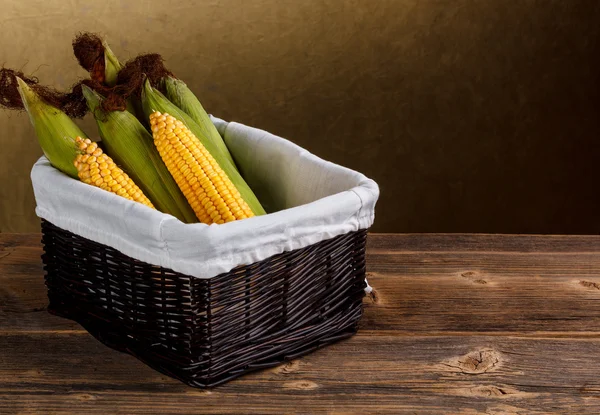 Corn in basket — Stock Photo, Image