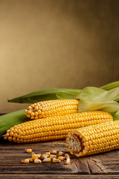 Sweet corn — Stock Photo, Image