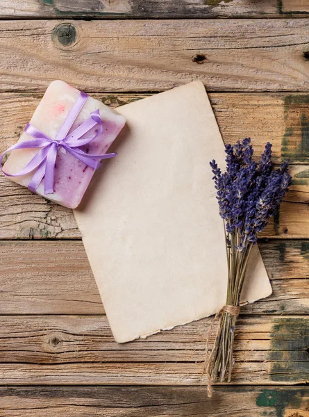 Lavendel blommor — Stockfoto