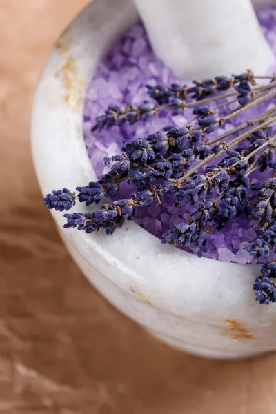 Dried lavender — Stock Photo, Image