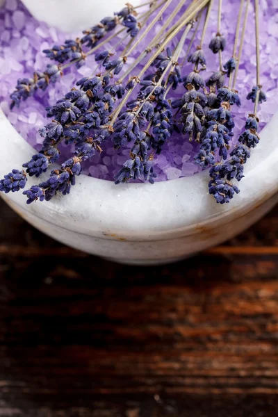 Lavendel — Stockfoto