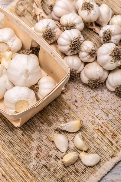 Bio-Knoblauch — Stockfoto