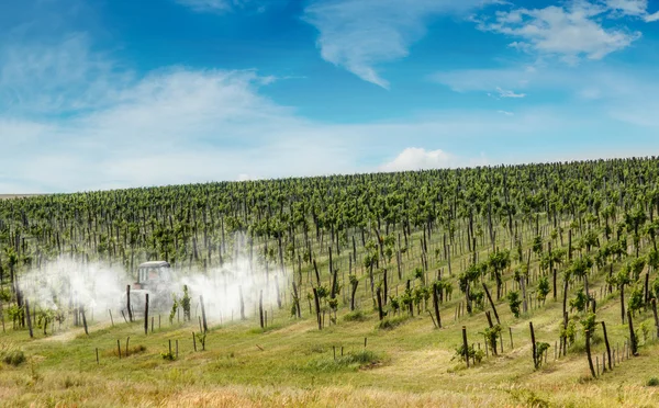 Postřik Viniční traktor — Stock fotografie