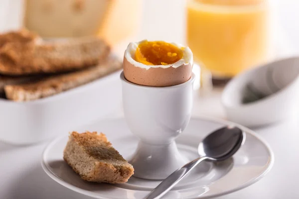 Boiled egg — Stock Photo, Image