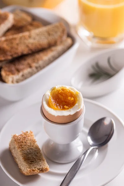 Oeuf bouilli — Photo