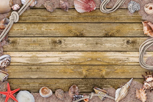 Frame of seashells — Stock Photo, Image