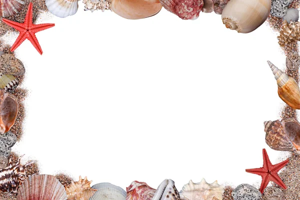 Frame of seashells — Stock Photo, Image