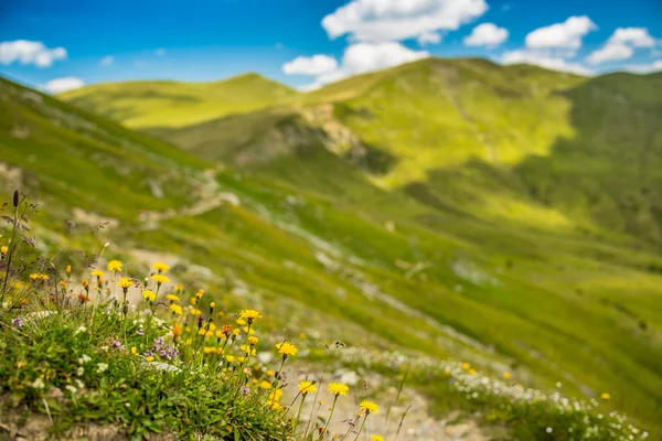 Bergen landschap — Stockfoto