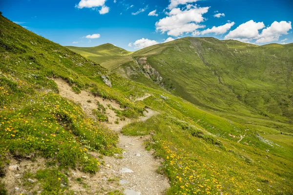 Sentiero verso le montagne — Foto Stock