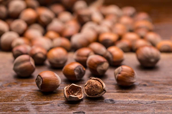 Hazelnuts — Stock Photo, Image