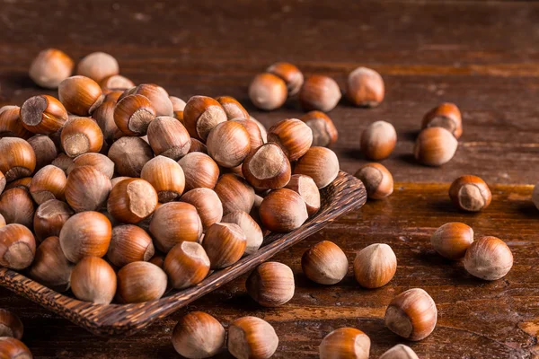 Hazelnuts — Stock Photo, Image