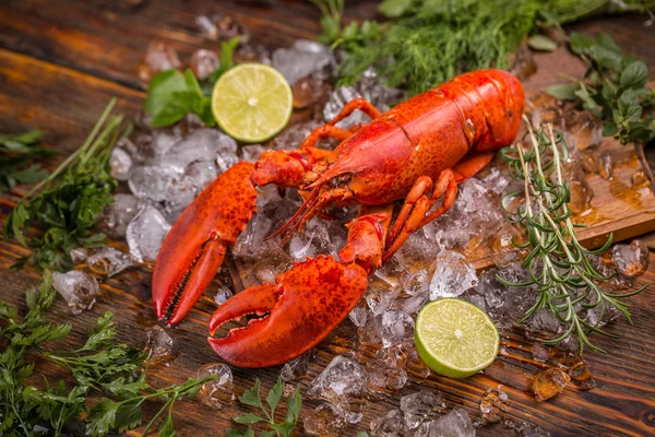 Lobster — Stock Photo, Image