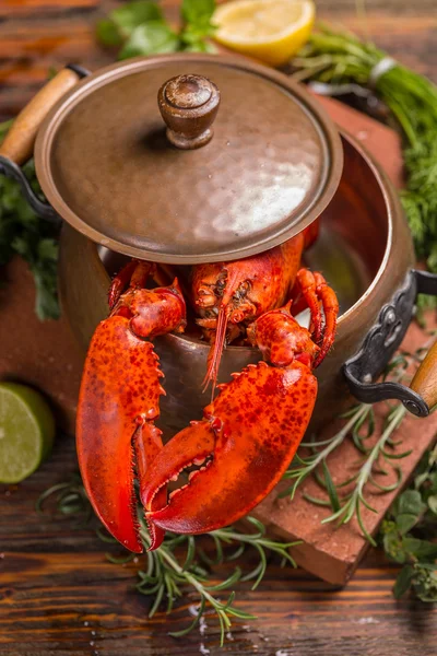 Lobster — Stock Photo, Image