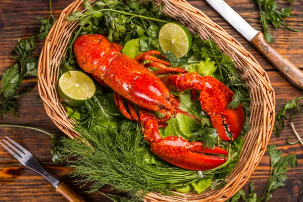 Boiled lobster — Stock Photo, Image