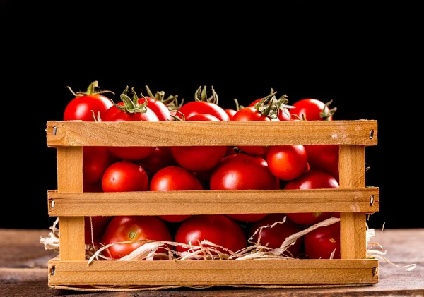 Pomodori freschi — Foto Stock