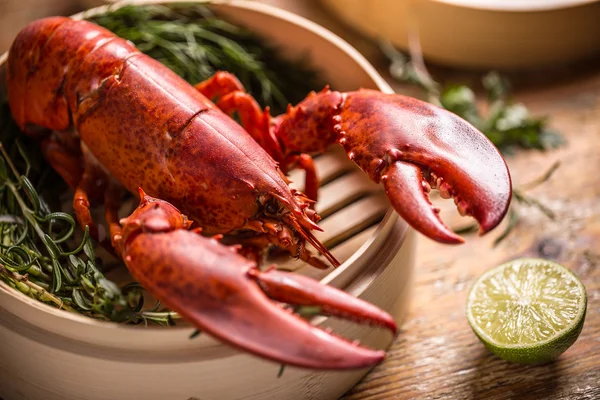 Lobster — Stock Photo, Image