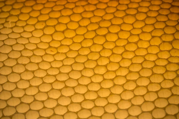 Honeycomb Royalty Free Stock Images