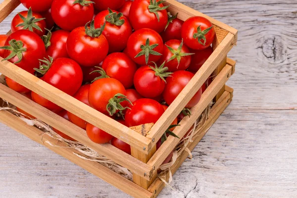 Tomates cherry —  Fotos de Stock