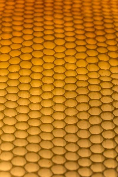 Honeycomb - Stock-foto