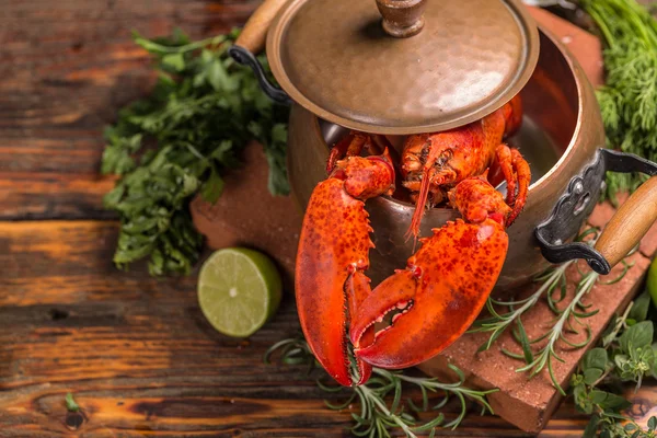 Boiled lobster — Stock Photo, Image