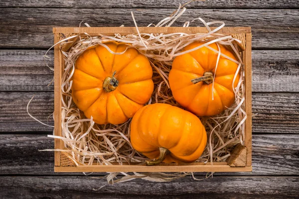 Calabazas en caja — Foto de Stock