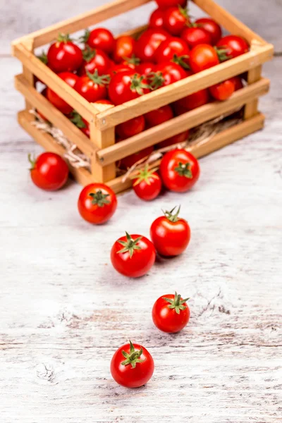 Pomodori — Foto Stock