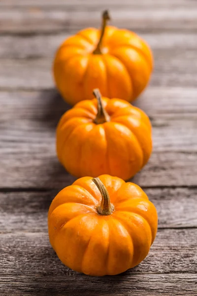 Tres mini calabazas —  Fotos de Stock