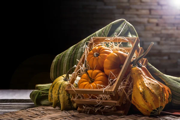 Calabazas en caja —  Fotos de Stock