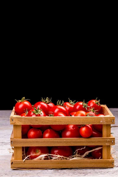 Pomodori rossi piccoli — Foto Stock