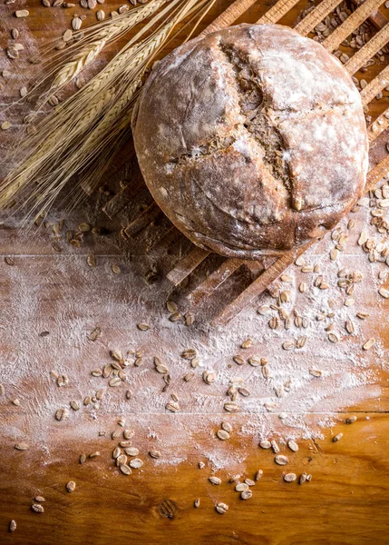 Freshly baked traditional bread — Stock Photo, Image