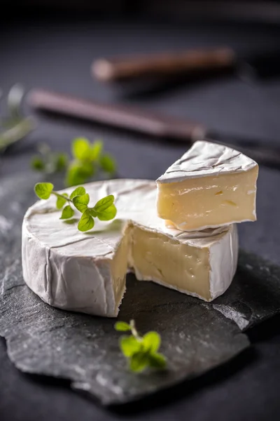 Camembert, yumuşak peynir — Stok fotoğraf