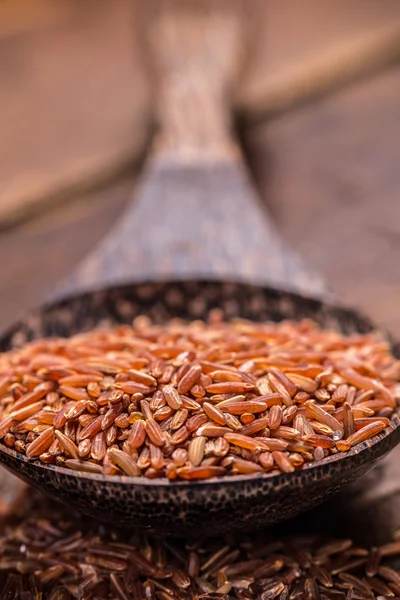 Close up de arroz vermelho — Fotografia de Stock