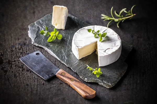 法国卡门培尔奶酪片断 — 图库照片