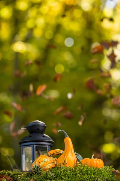 Linterna con velas encendidas — Foto de Stock