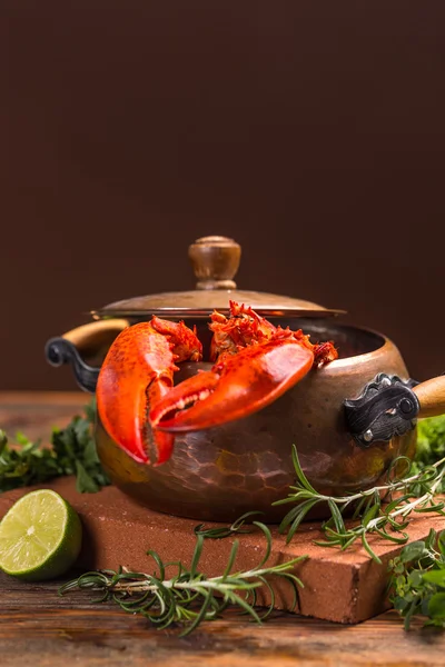 Cooked european common lobster — Stock Photo, Image