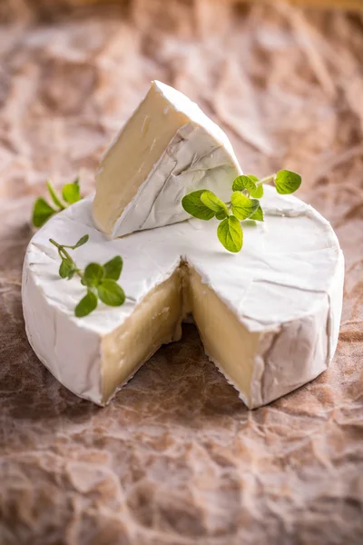 Fromage camembert sur papier froissé rustique Images De Stock Libres De Droits