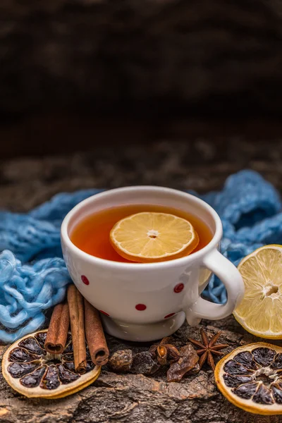 Taza de té — Foto de Stock