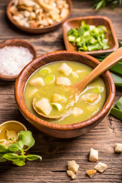 美味しい葱のスープ — ストック写真