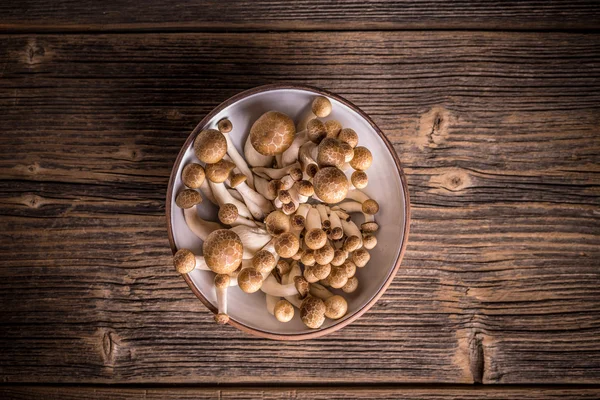 Shimeji mushrooms in bowl — Stock Photo, Image