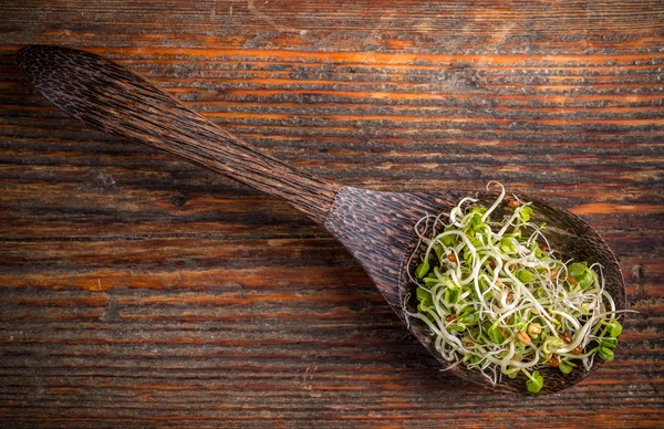 Fresh sprouts in wooden spoon — Stock Photo, Image