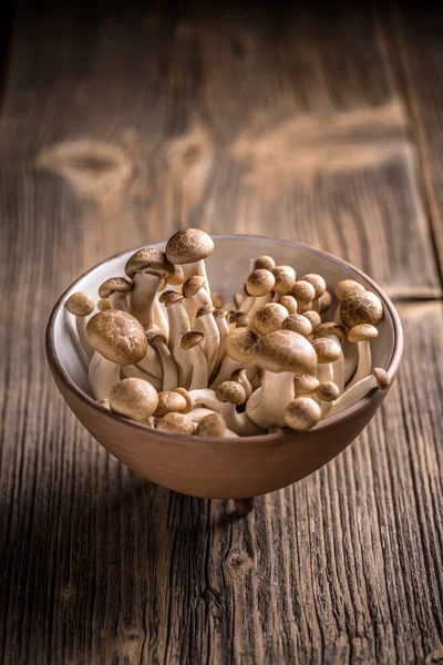 Shimeji mushrooms in bowl Stock Photo