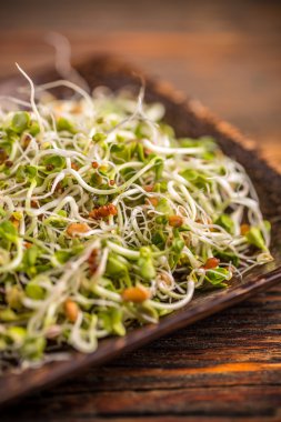 Bambu plaka taze lahanası