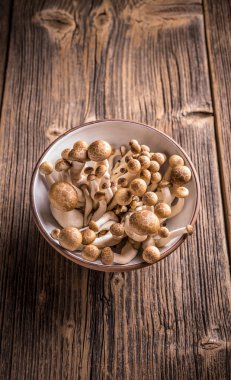 Taze kahverengi shimeji mantar