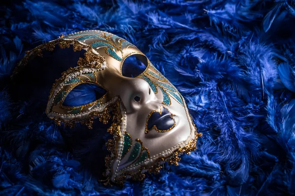 Venetian carnival mask Stock Image