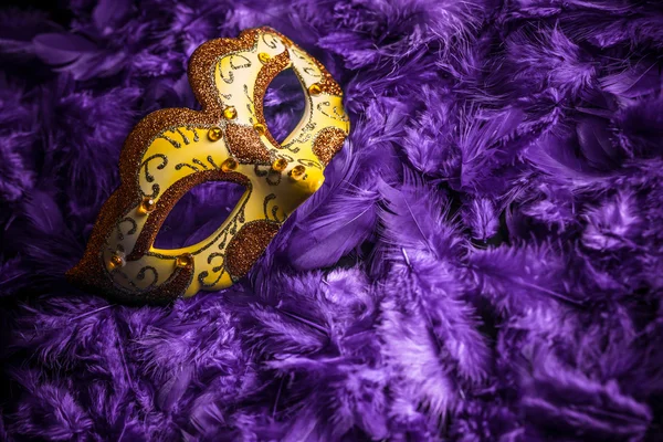 Kvinnliga carnival mask — Stockfoto