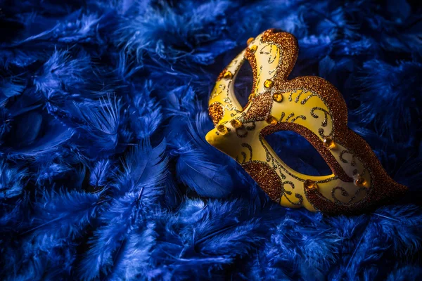 Kvinnliga carnival mask — Stockfoto