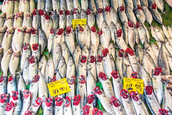 Mercado de peixe em istanbul, peru — Fotografia de Stock