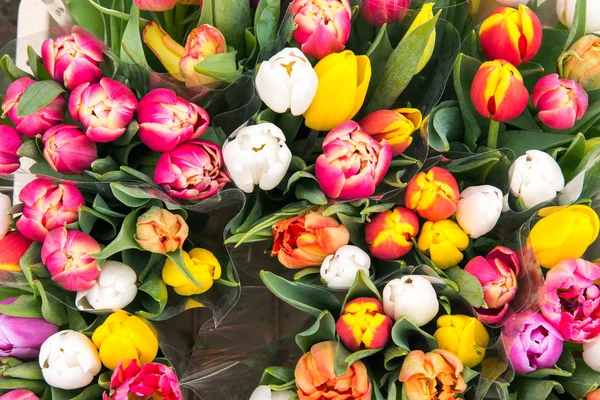 Tulips for sale at a markt — Stock Photo, Image